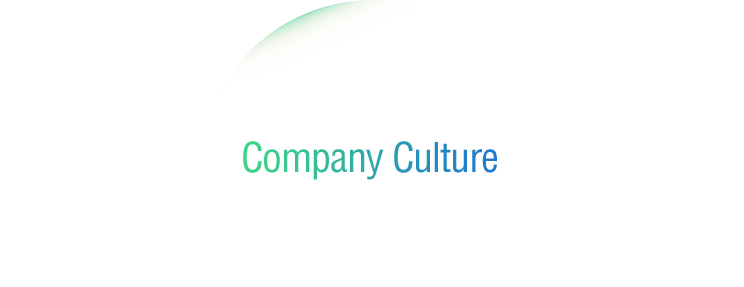 开云网页版
