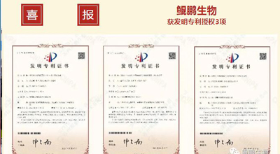 鲲鹏生物 | 核心平台技术获得中国发明专利